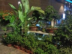 -若蘭慈·无国界素食料理(欢乐海岸店)