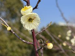 -白塘生态植物园