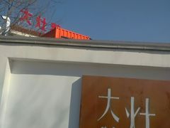 -大队长大灶鹅