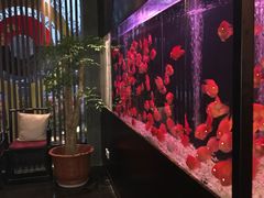 -大唐盲人按摩中心(黄山路店)