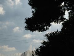 -南通洲际绿博园