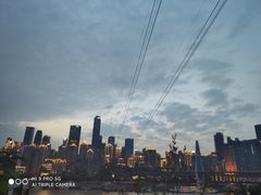 -李子坝梁山鸡(李子坝大鸡哥店)