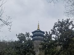 -杭州西湖湖滨银泰亚朵酒店