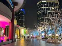 -上海波特曼丽思卡尔顿酒店