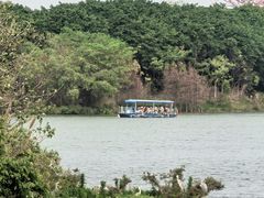 -海珠湖公园