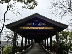 -长广溪湿地公园