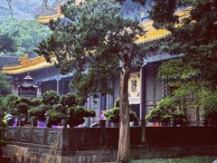 -普陀山风景名胜区-法雨禅寺