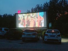 -枫花园汽车电影院(朝阳公园店)
