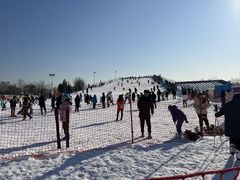 -绿野森林乐园冰雪季