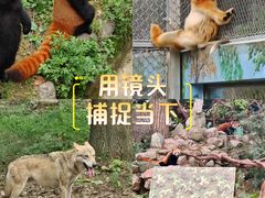 -西安秦岭野生动物园