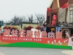 -荷兰花海