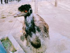 -郑州中国绿化博览园