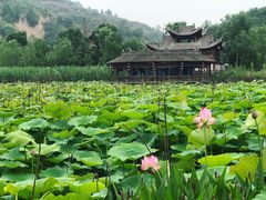 -渭南桃花源民俗文化园