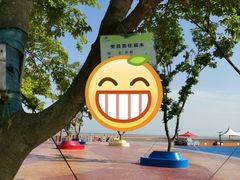 -刘家湾赶海园