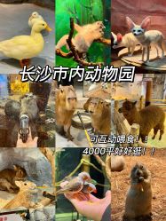 -Zoolung Zoolung动物主题公园(海信广场店)
