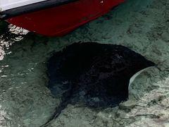 -中央格兰德岛温泉度假酒店 - 全包