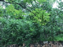 -府君山公园
