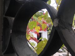 -尚贤河湿地