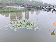 -前关湿地公园