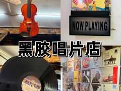 -树懒黑胶唱片店(中山路店)