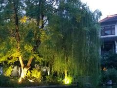 -无锡梁鸿湿地丽笙度假酒店·流觞西餐厅