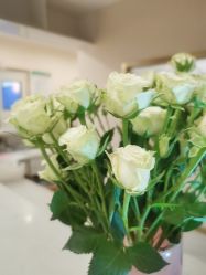 -郡艺医疗美容·微整·眼鼻吸脂