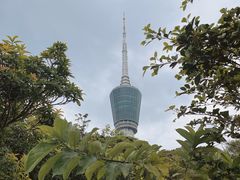 -梧桐山风景名胜区
