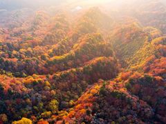 -光雾山旅游景区