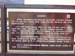 -桃花堤公园