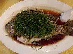 -东江酒楼(鼎鑫商务中心店)