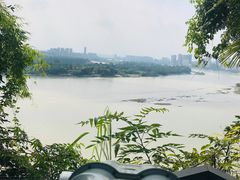 -乐山市博物馆