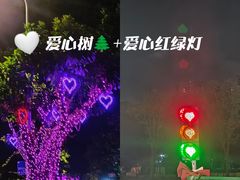 -光明港公园