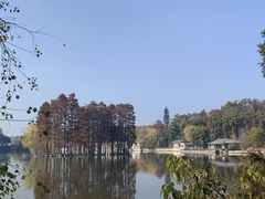 -东湖食堂·湖景餐厅•会议