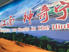 -银川河东国际机场