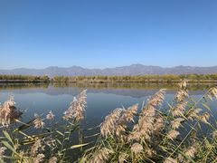 -野鸭湖国家湿地公园
