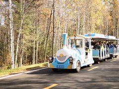 -五营红松林海景区