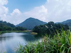 -广州市石门国家森林公园