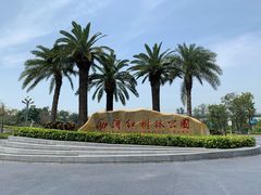 -宝安西湾红树林湿地公园