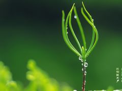 -信不信由你博物馆