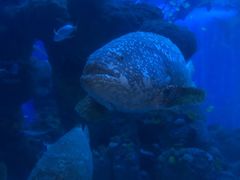 -成都浩海立方海洋公园