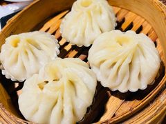 -蒙古苍狼蒙餐