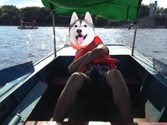 -长春市南湖公园