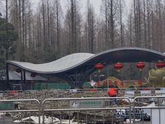 -东平国家森林公园