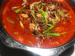 -宽口美蛙鱼头(大唐西市店)