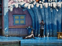 -华夏文旅海洋公园