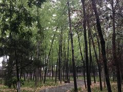 -唐城墙遗址公园