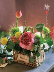 -花隐·美芙炫海菲秀皮肤管理中心