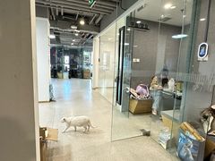 -SIA国际艺术留学·作品集辅导(海淀校区)