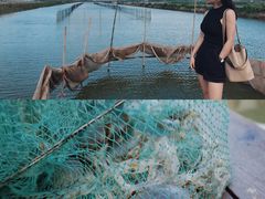 -蛇蟠岛