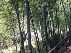 -千泷沟大瀑布旅游区